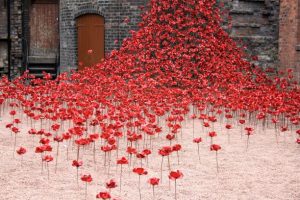 8 August: Poppy sculpture treat for boaters and walkers on Trent & Mersey Canal near Stoke